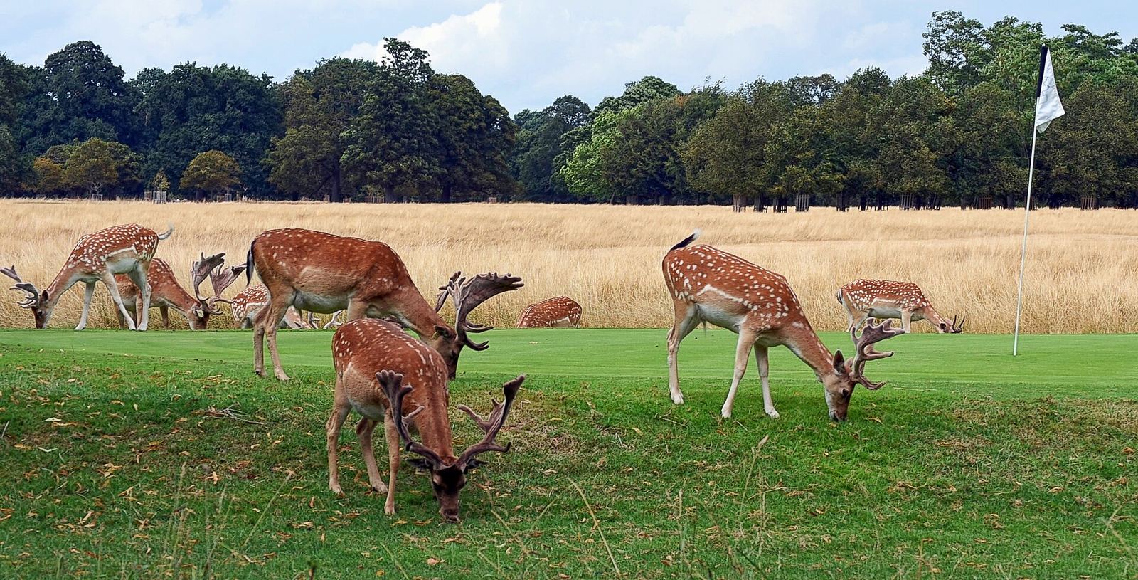 East Hampton golf course
