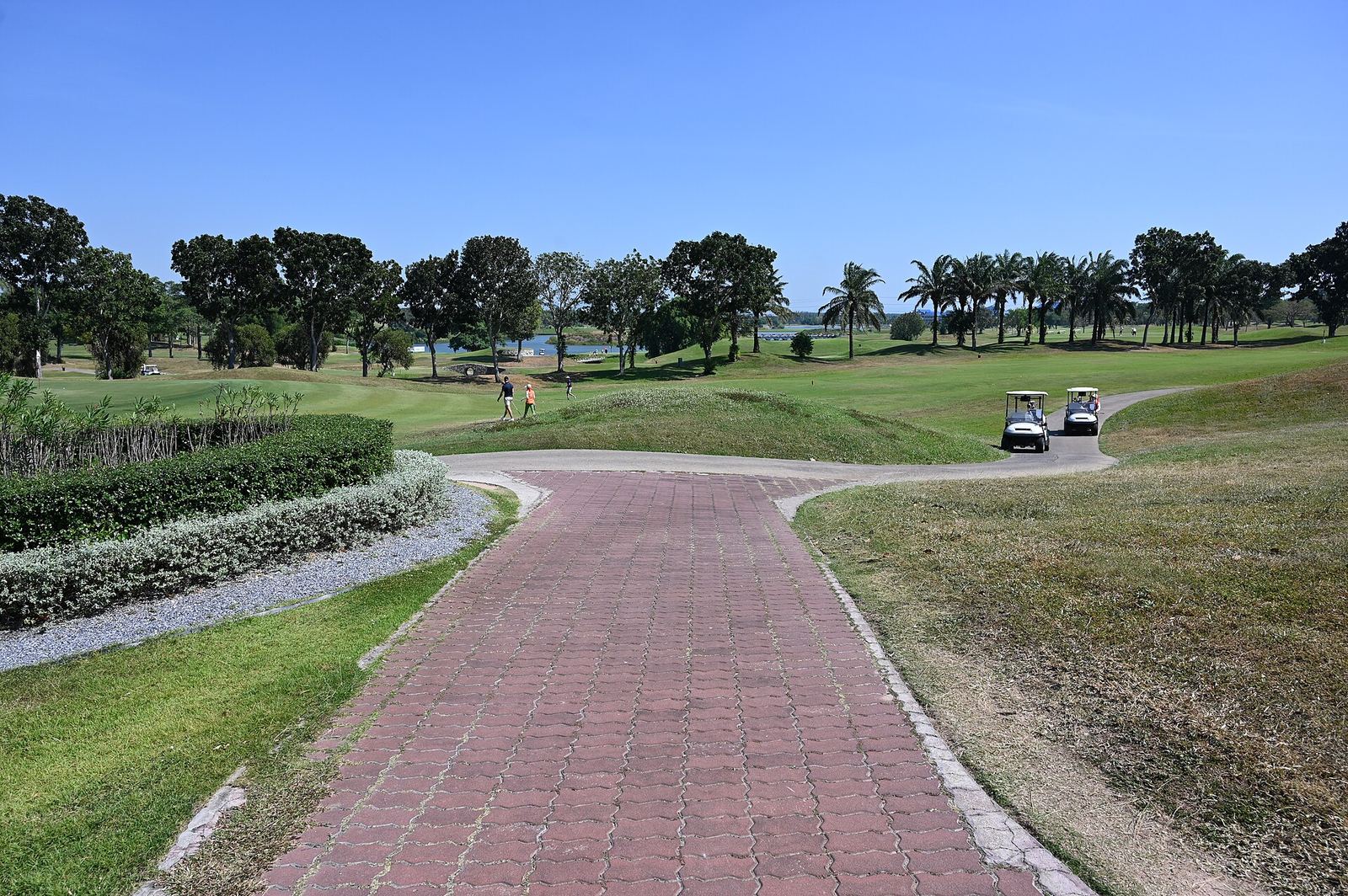 A golfer walking a fairway